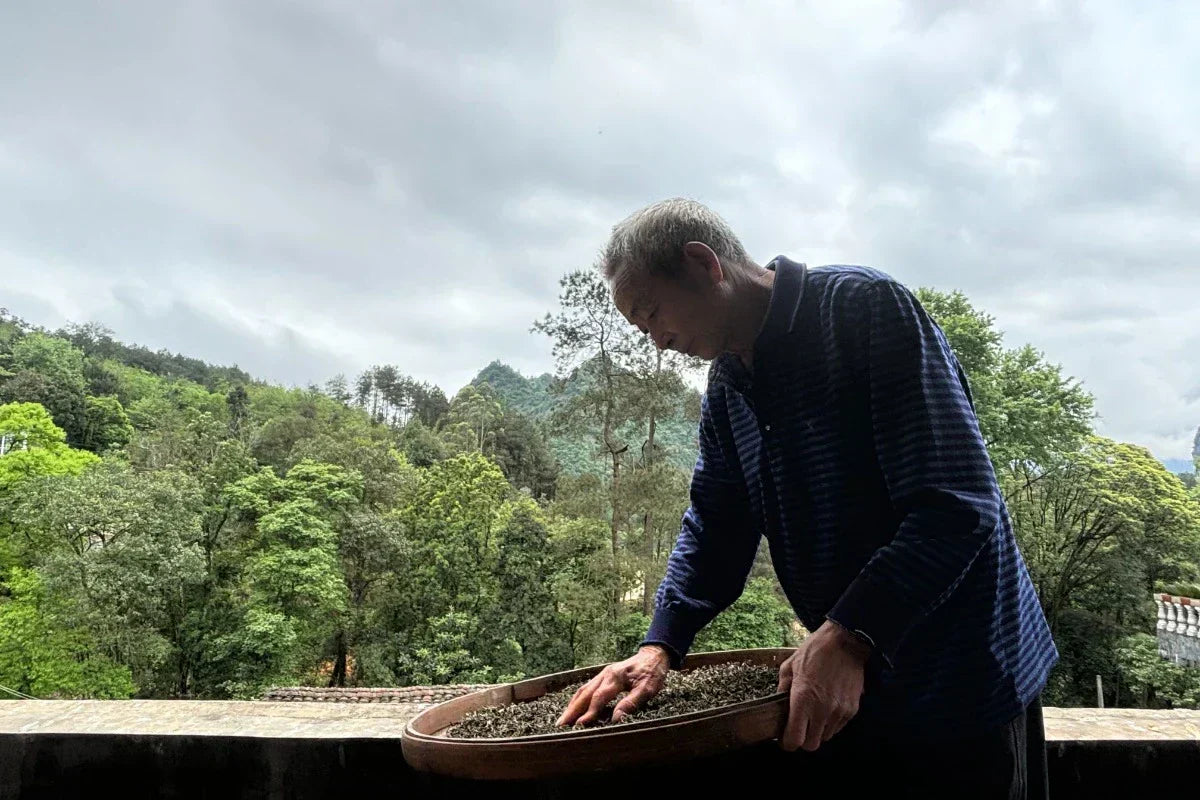 Grandpa Chen is making tea