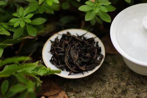 Da Hong Pao: The King of Chinese Oolong Teas