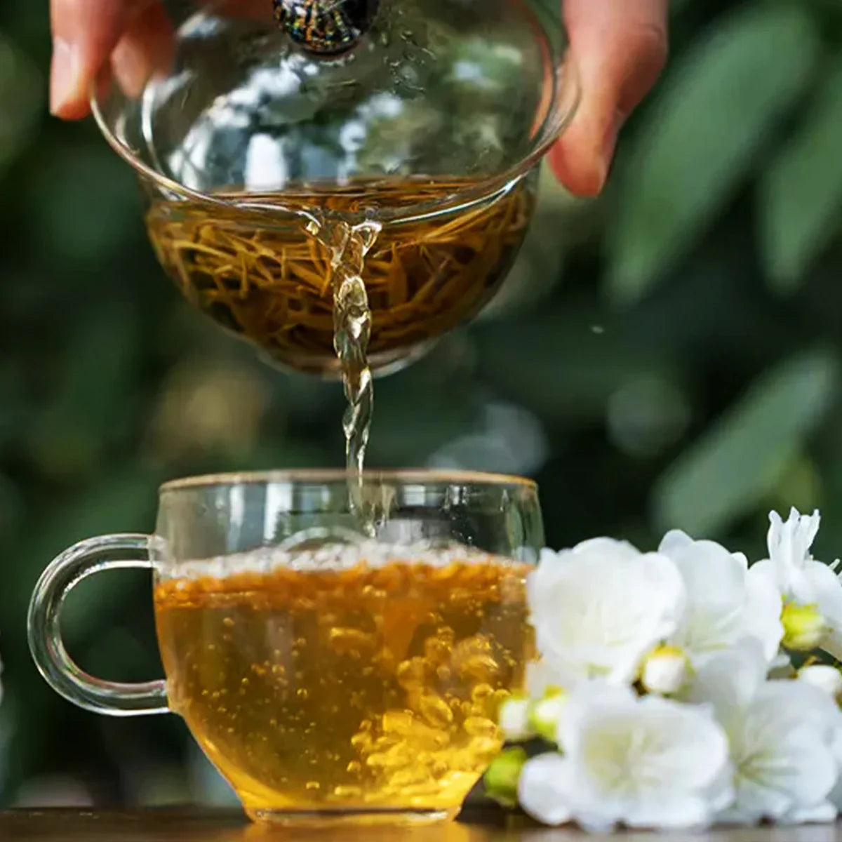 The Difference Between Jasmine Tea and Green Tea