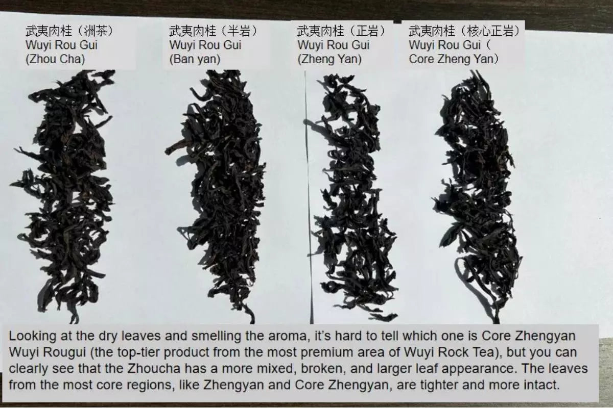 oolong tea