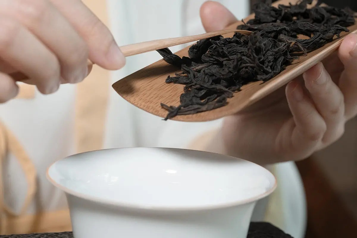 Oolong Tea Benefits Good For Cardiovascular Health