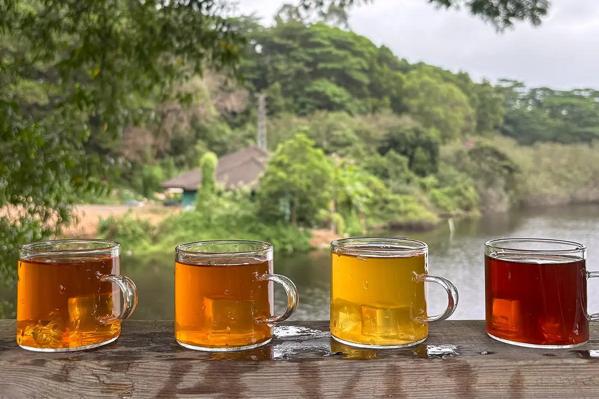 tea sampler