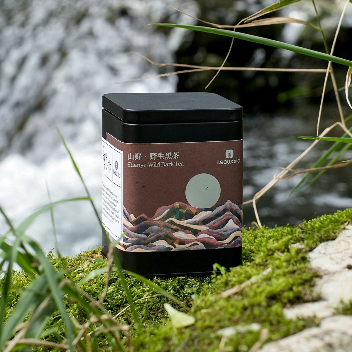 Dark Tea- Wild anhua hei cha