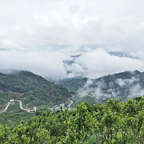 Fenghuang-Mountain