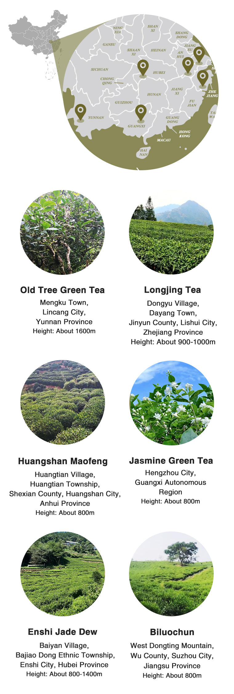 green-tea-origin