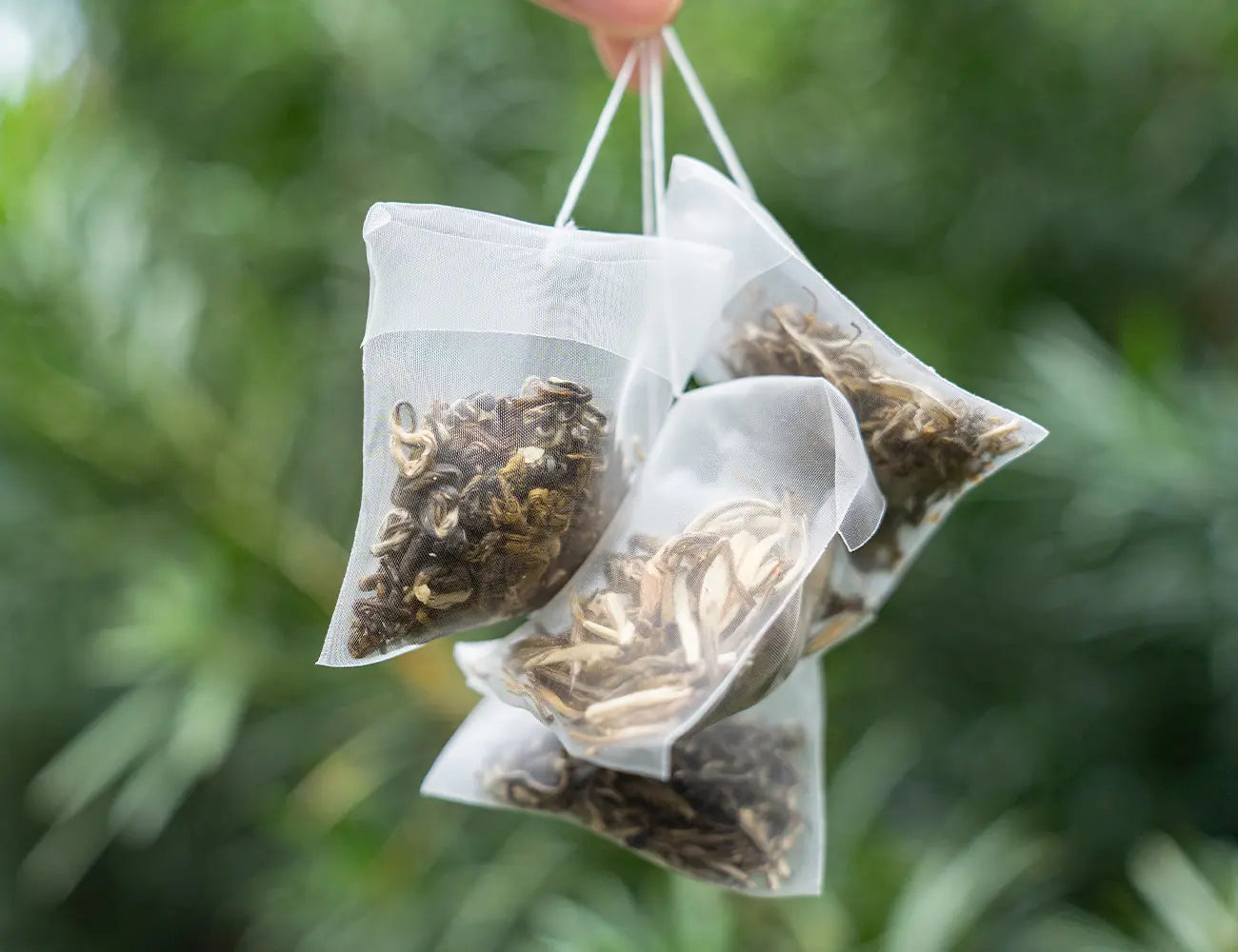 Jasmine tea gift tea bag