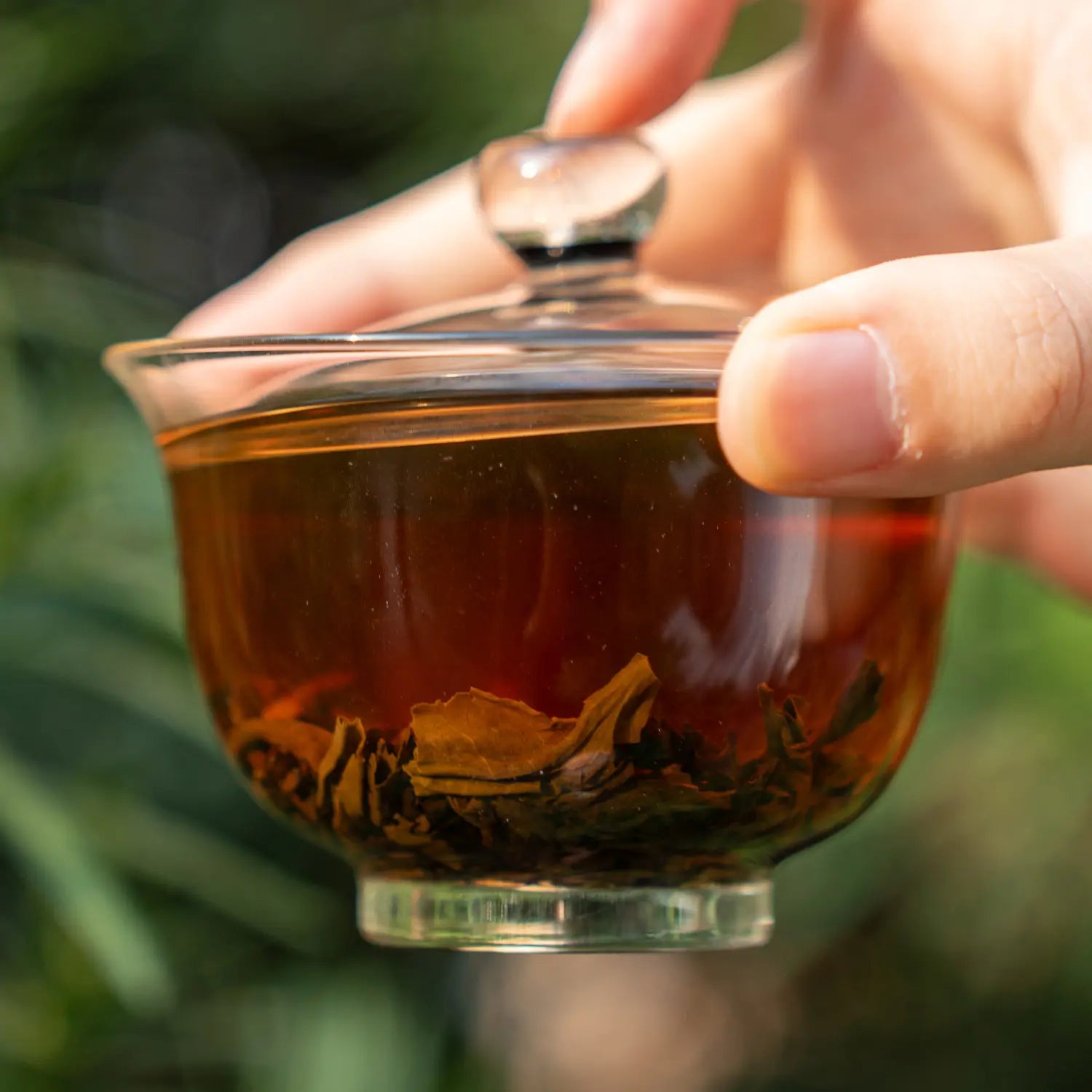 Sugar Free tea