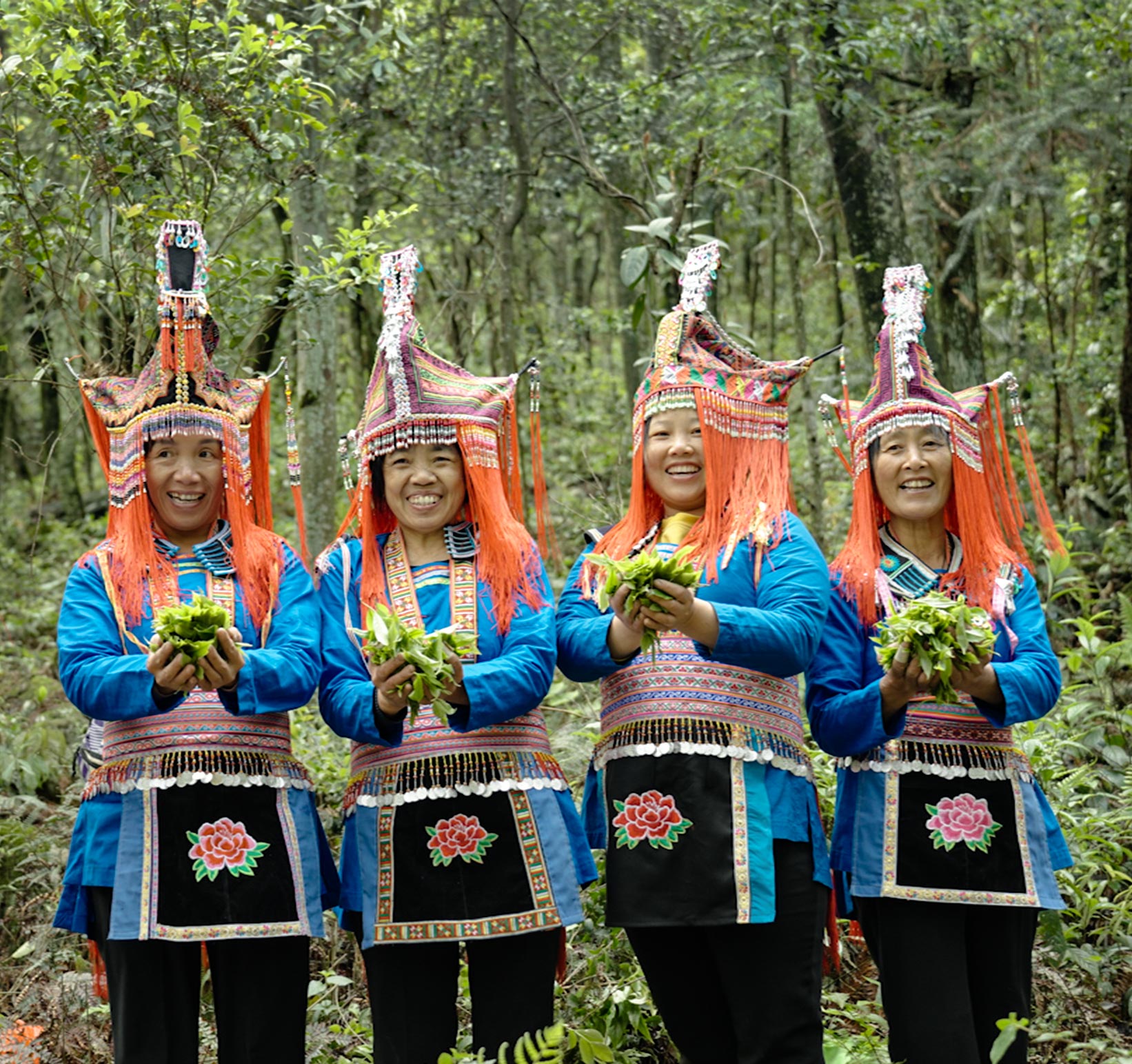 about-iteaworld-provide-chinese-loose-leaf-tea