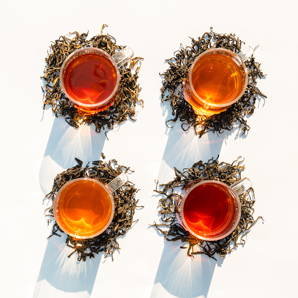 Black Tea Sampler