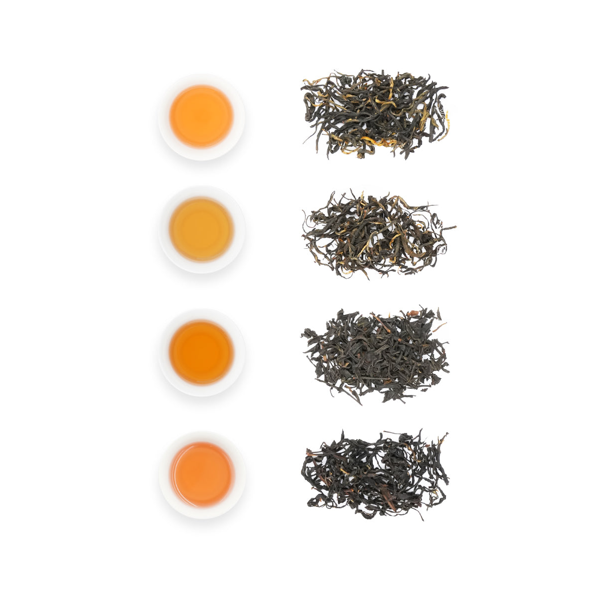 Black Tea Sampler