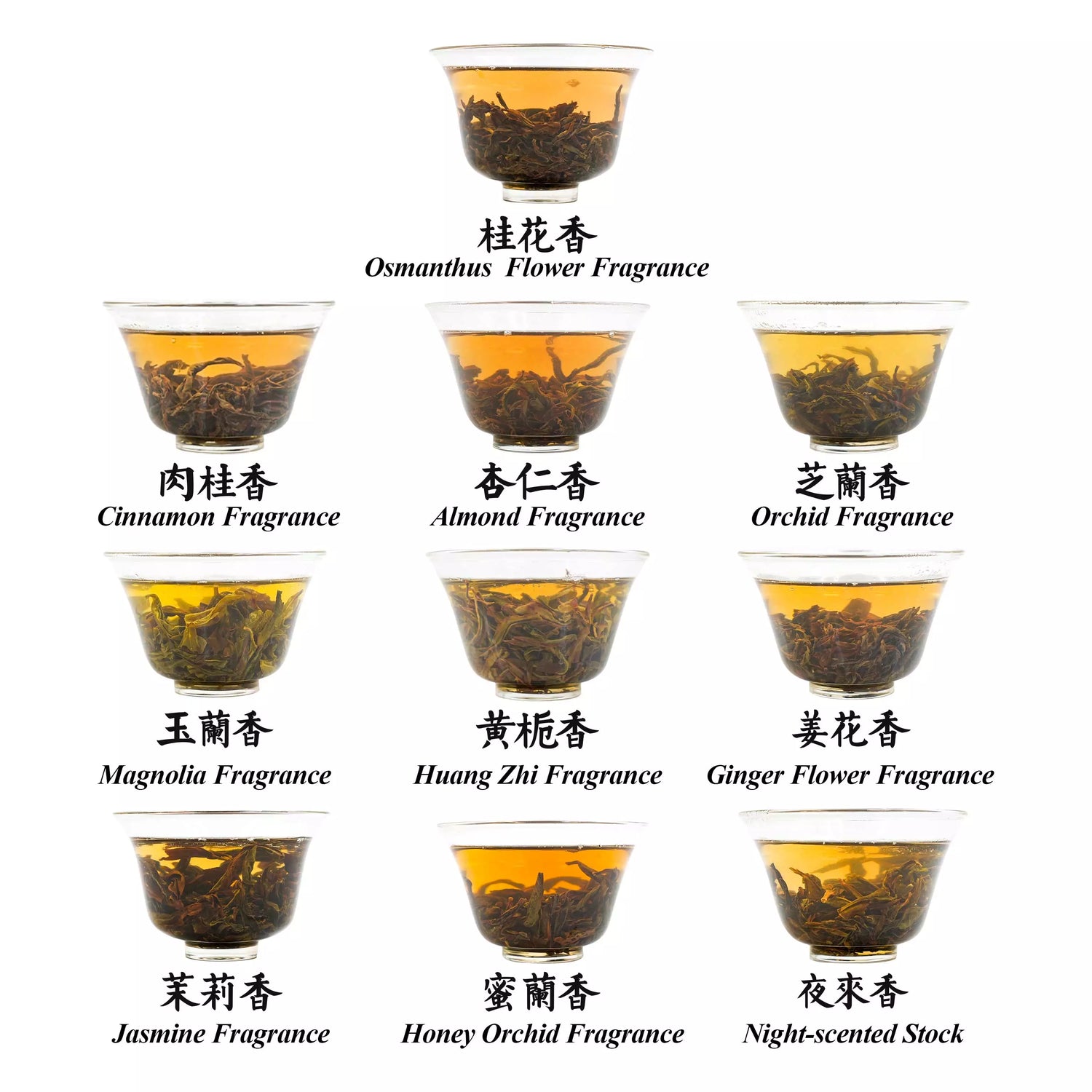 iTeawold-Fenghuang Dancong Oolong Tea-10 Unique Aromas