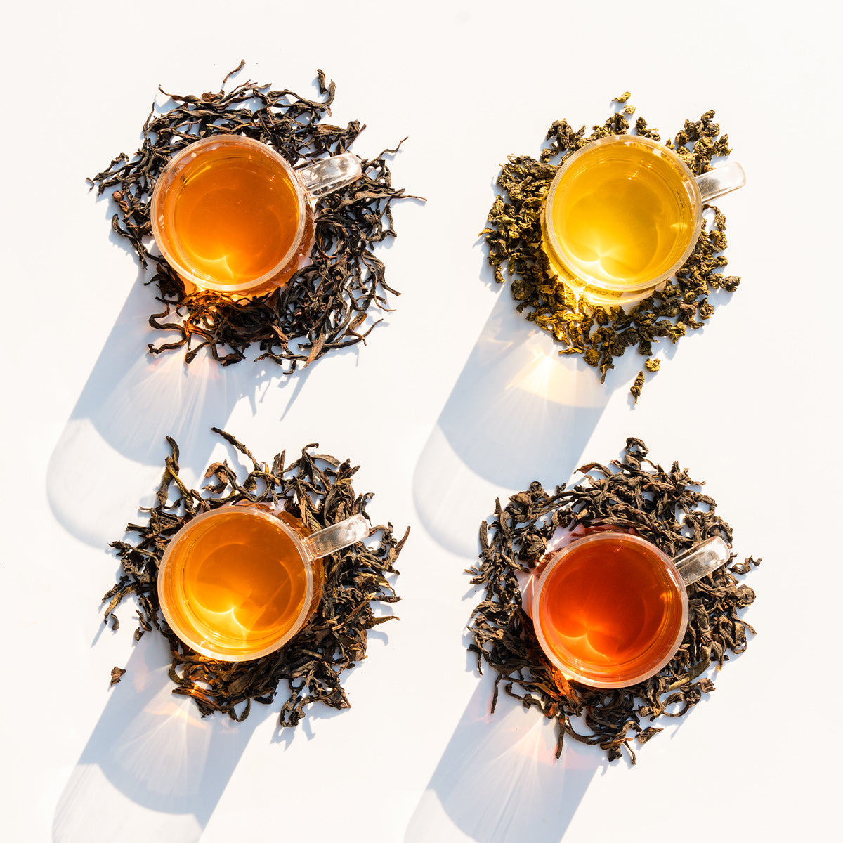 Oolong Tea Selection