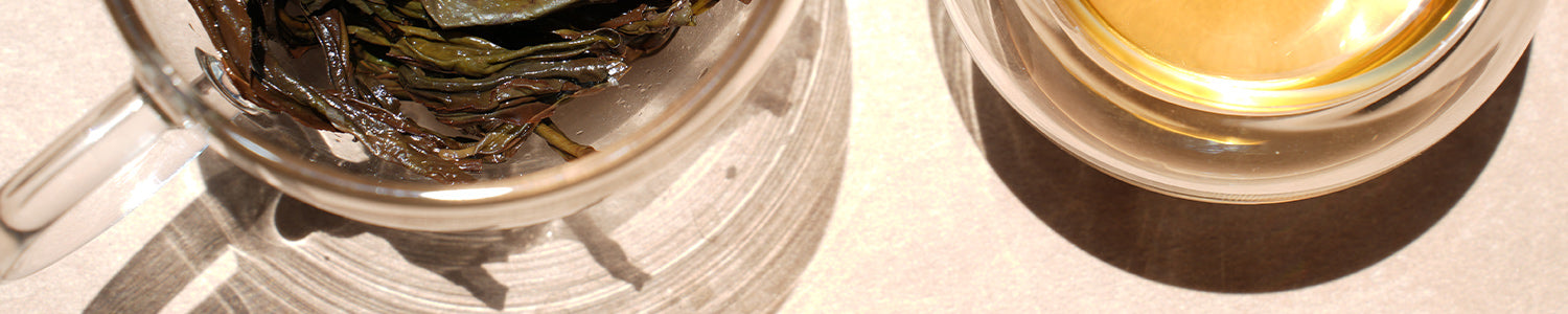 tea-samples-iteaworld