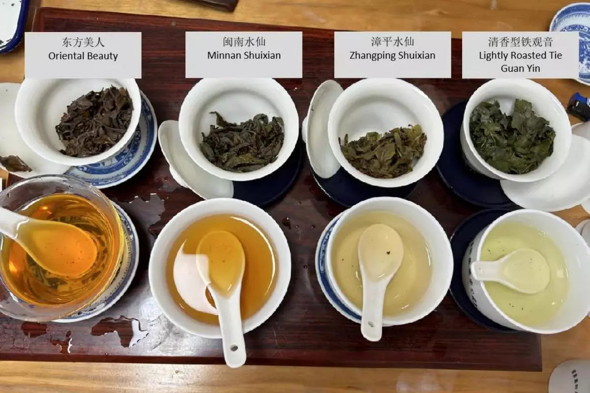 Lightly Oxidized or Heavily Oxidized Oolong tea: How to Choose? – iTeaworld