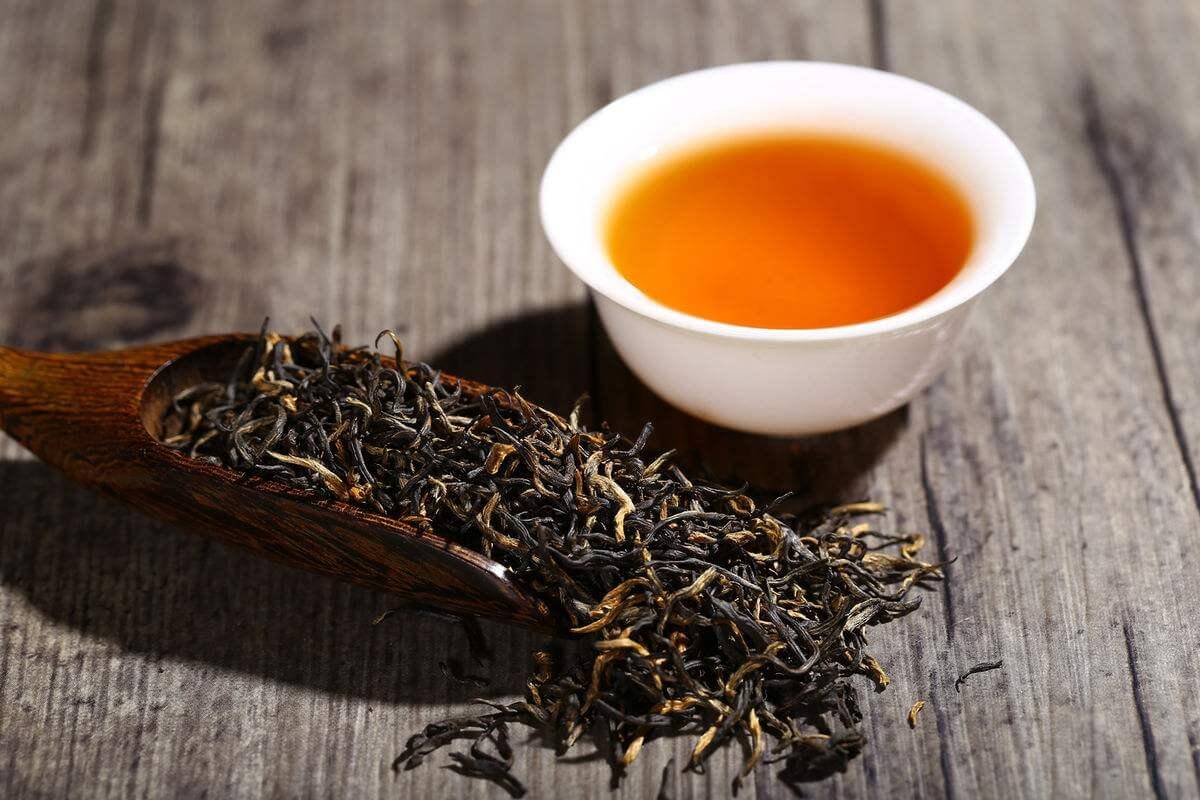 Best Oolong Teas for Oolong Tea Lovers: 5 Top Picks