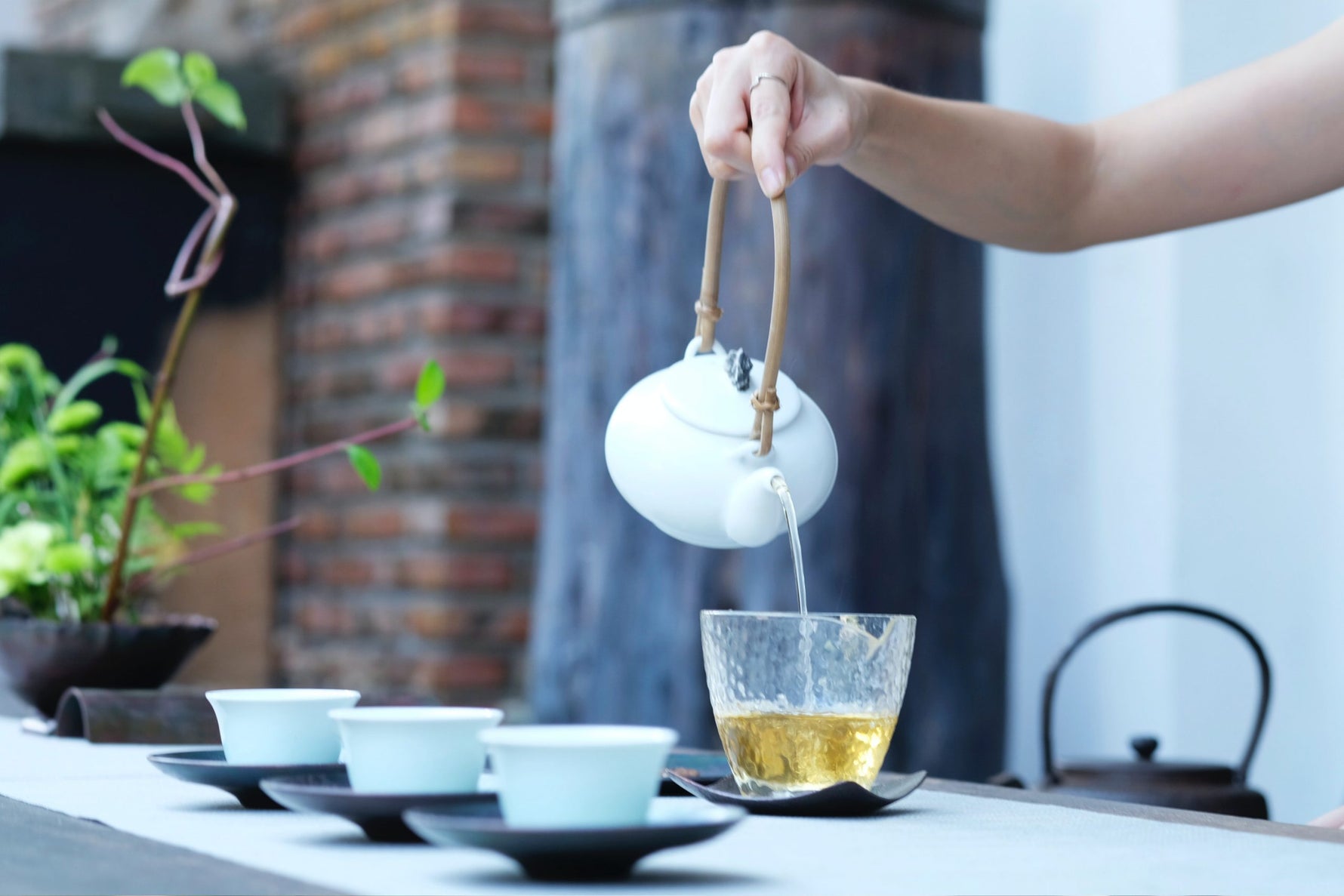 loose-leaf-oolong-tea