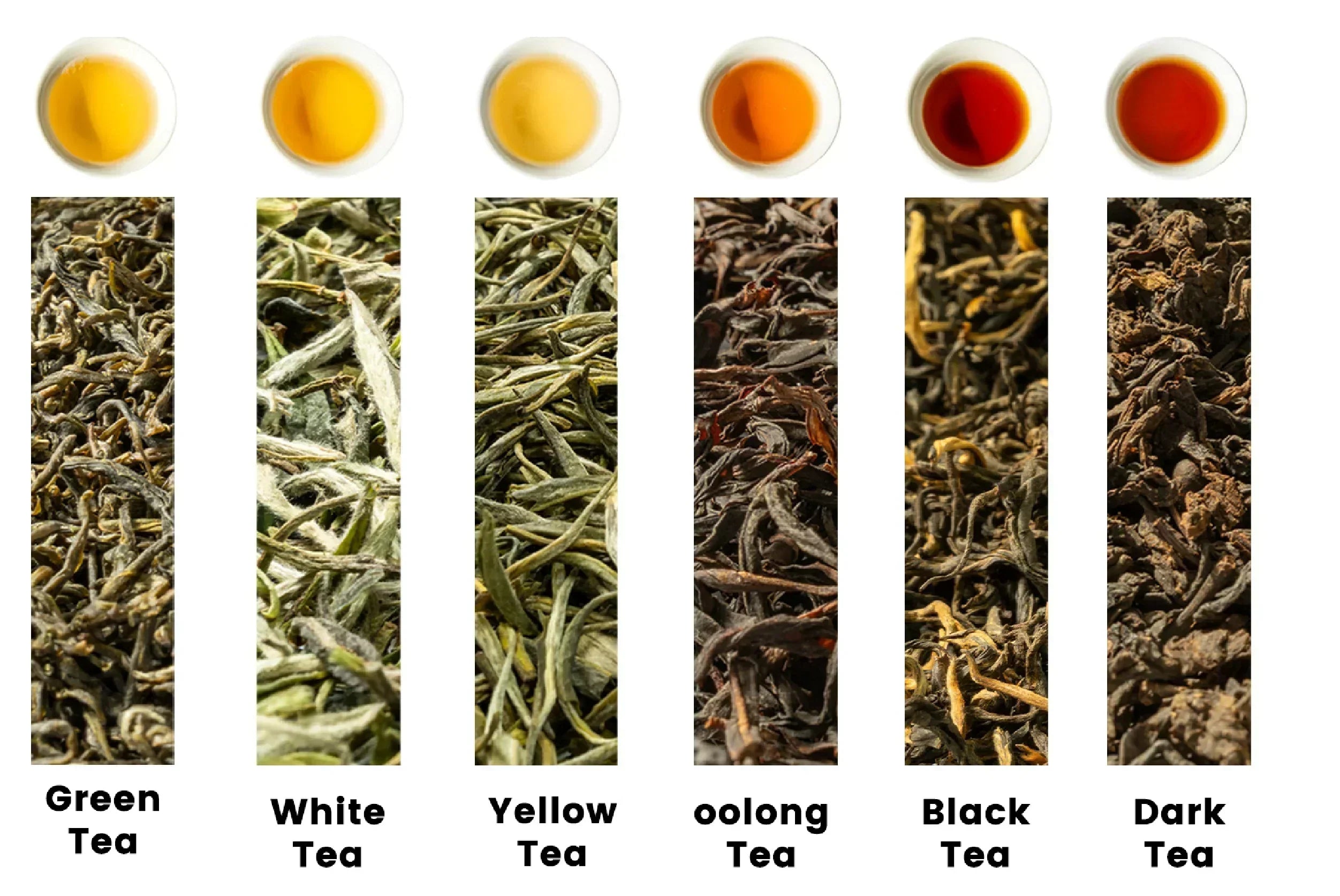 10 Must-Try Chinese Teas for Beginners