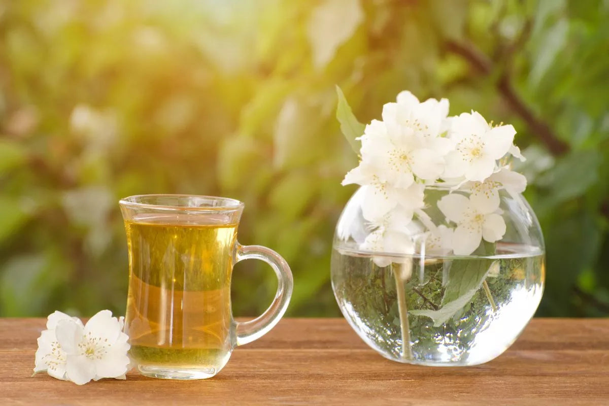 Jasmine Tea Guide: How to Choose the Best Jasmine Tea