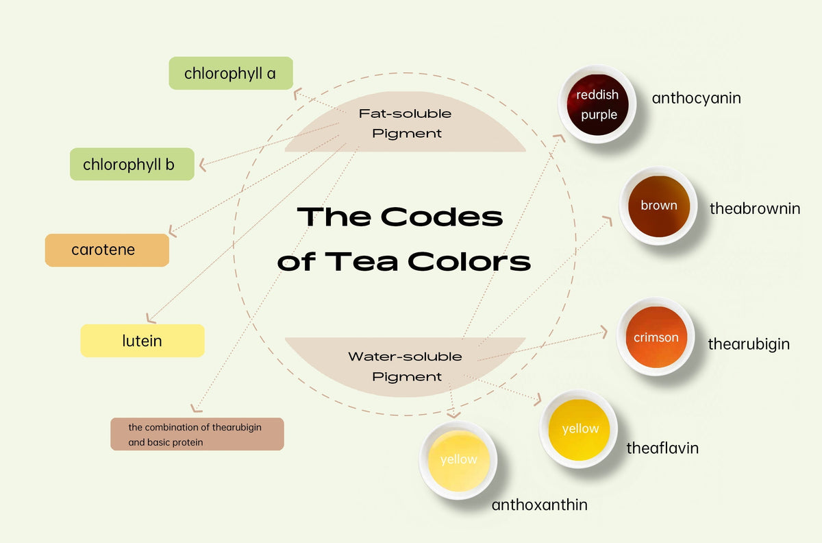 Red Tea Color Code Discover the Fascinating World of Tea Colors | iTeaworld