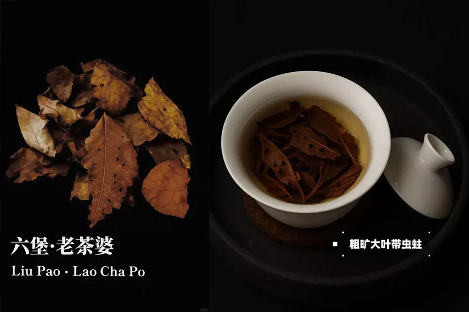 Warm Up This Winter with 5 Best Chinese Teas