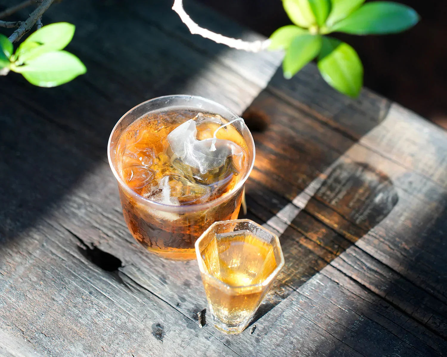 cold brew tea-iteaworld