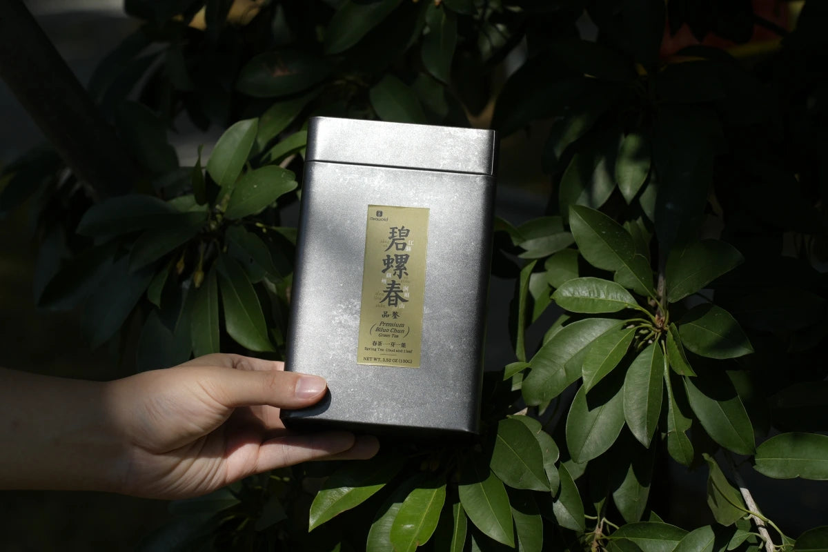 Discover the best Chinese green tea for your taste