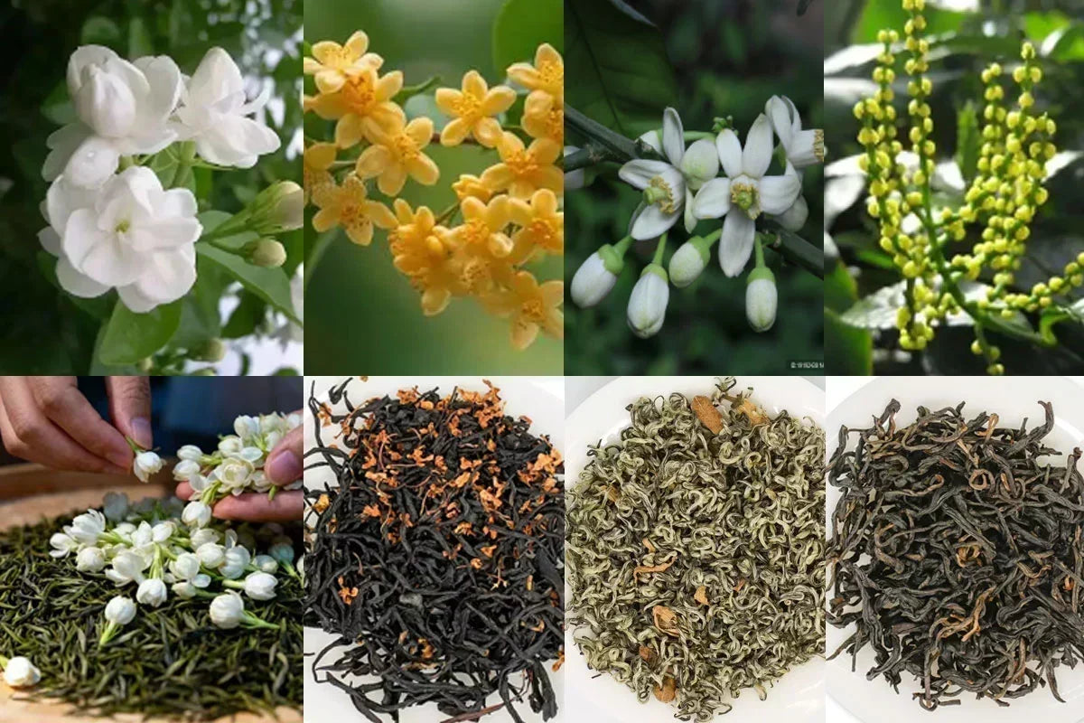 A Beginner’s Guide to Chinese Scented Tea: Jasmine, Rose, Osmanthus, Gardenia and Pomelo Blossom