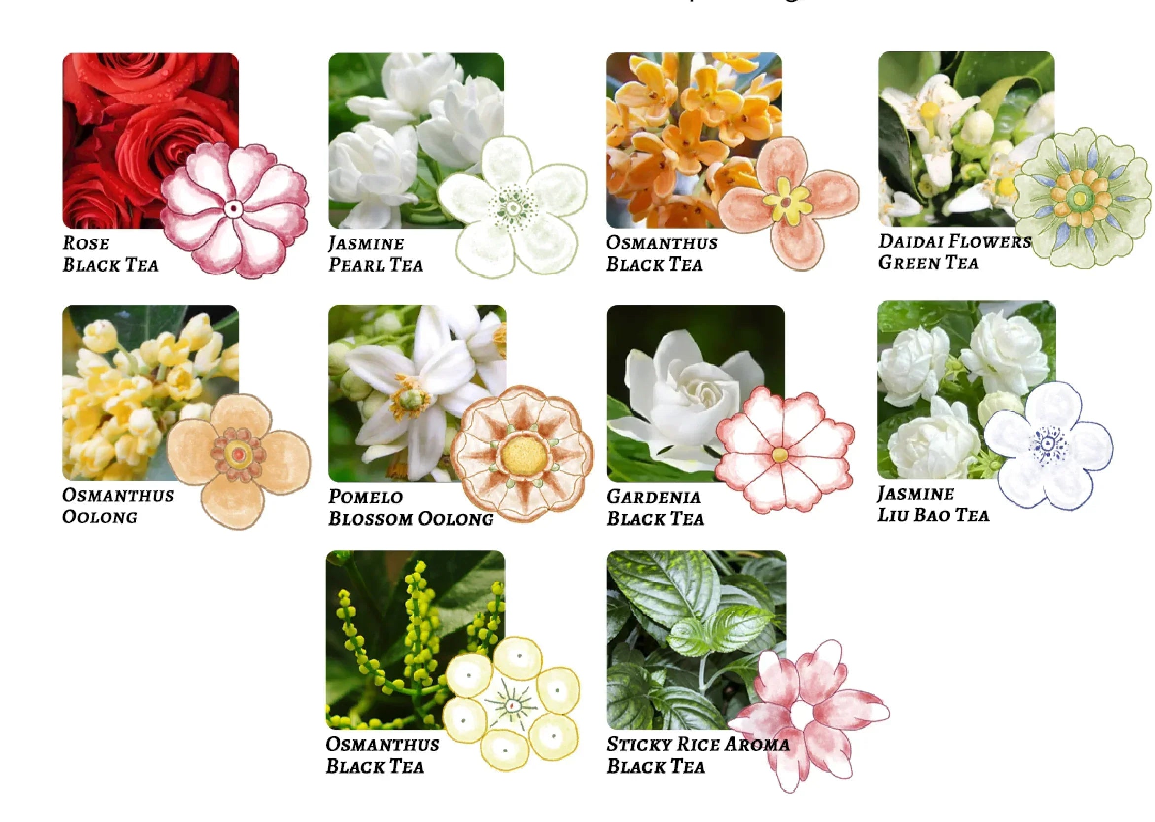 Top 10 Chinese Scented Teas Every Beginner Should Try – iTeaworld