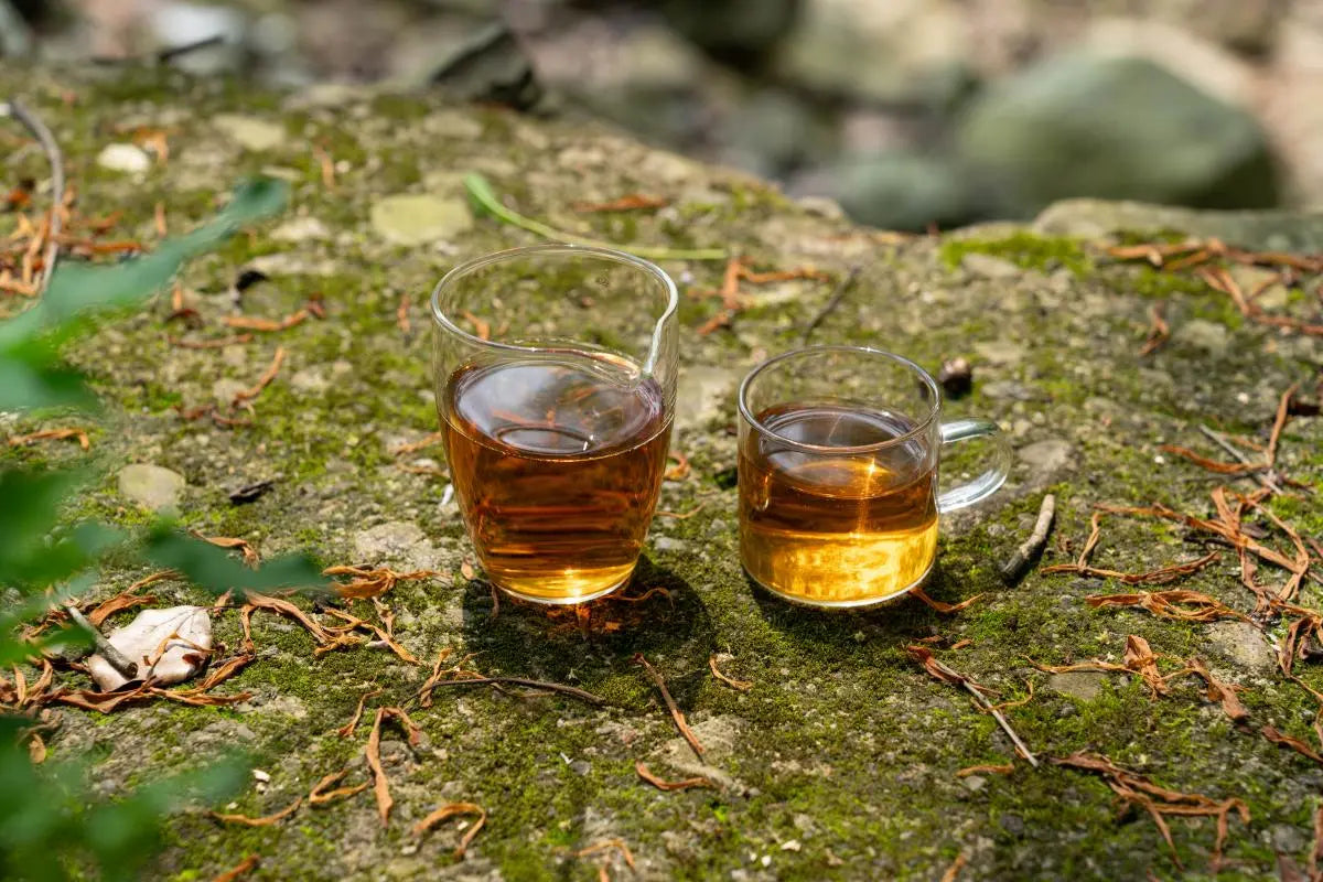 The Secret of Chinese Wild Tea: Exploring Nature's Gift – iTeaworld