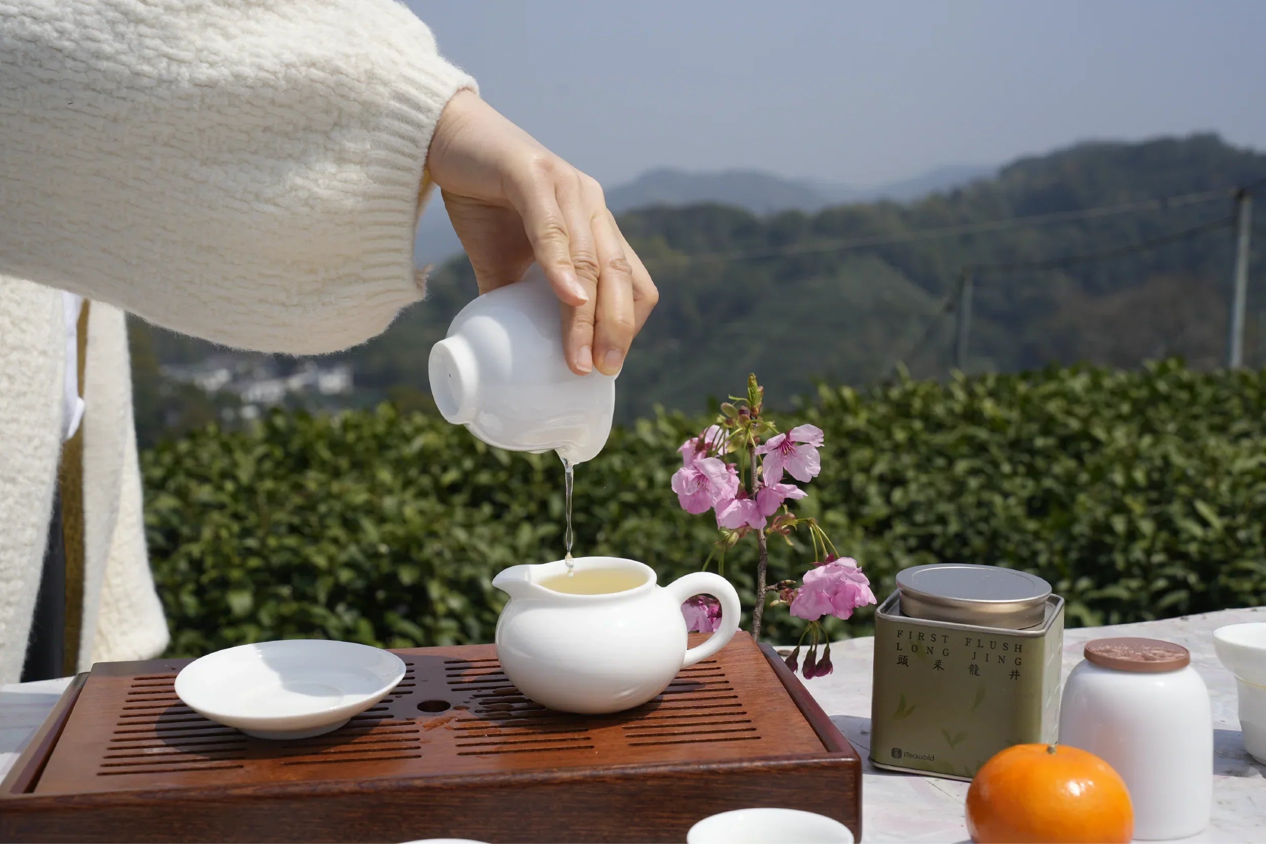 Chinese vs. Japanese Green Tea: What’s the Real Difference?