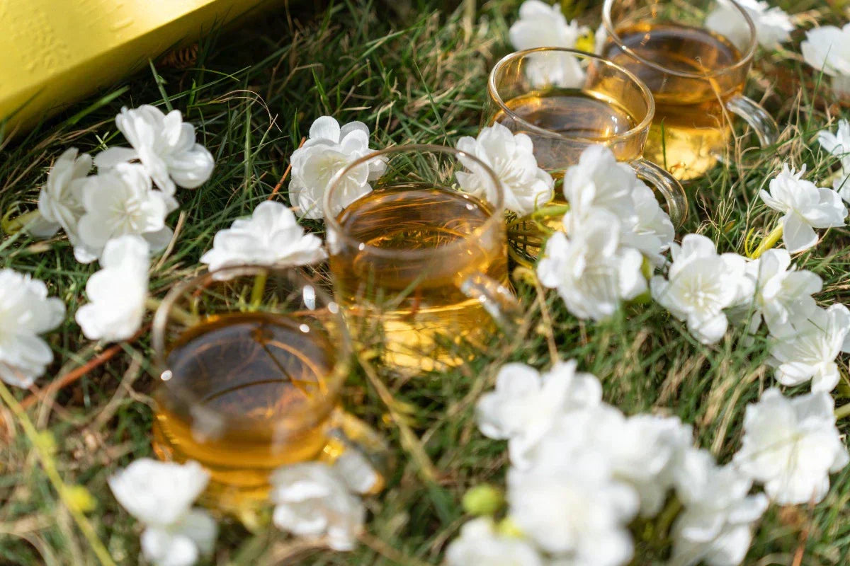 Jasmine Tea