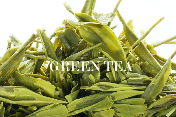 Green Tea Sampler: a Perfect Green Tea Gift Set to Your Friends& Family
