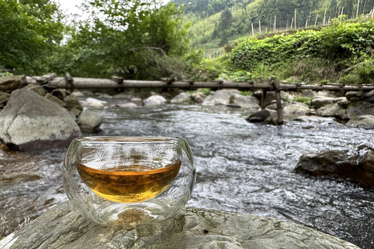 Chinese Tea-enjoy the wild tea in the forest