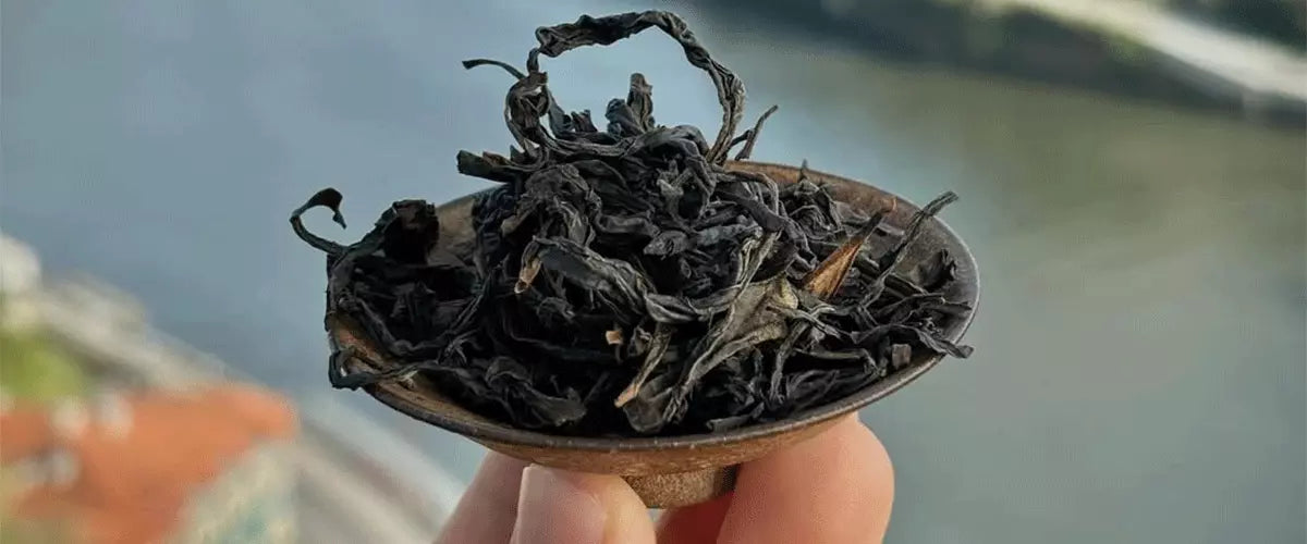 How to Buy Good Oolong Tea Online: 7 Things to Look For