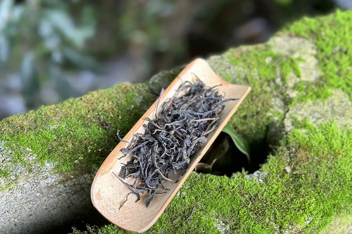 The Difference Between Chinese Wild Tea and Regular Tea – iTeaworld