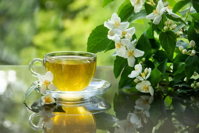 A Complete Guide to Drinking Chinese Jasmine Tea