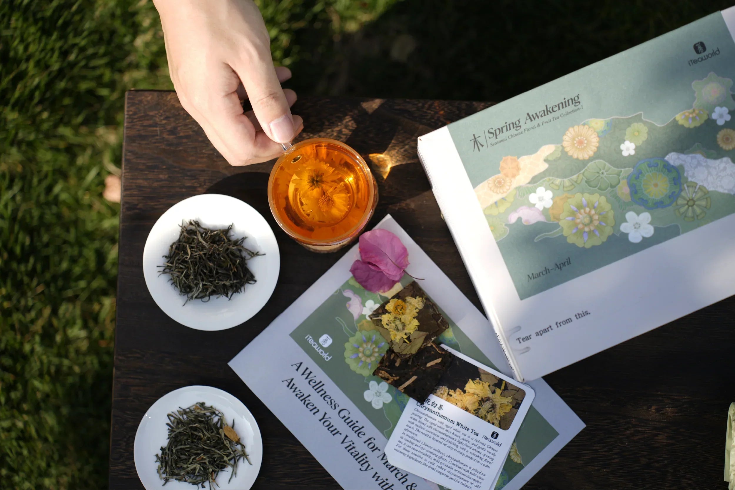 Seasonal Chinese Floral & Fruit Tea