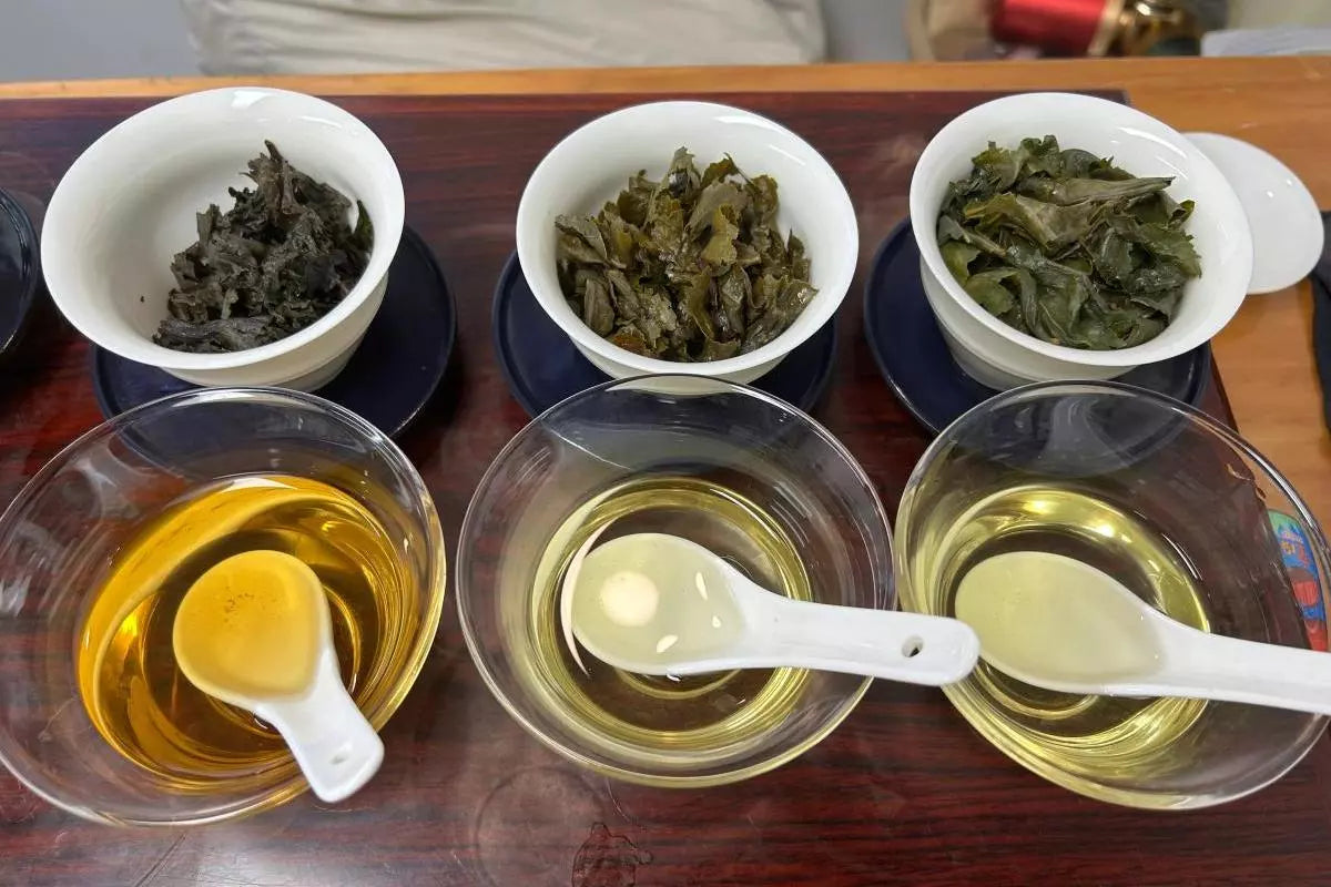 three types of oolong tea