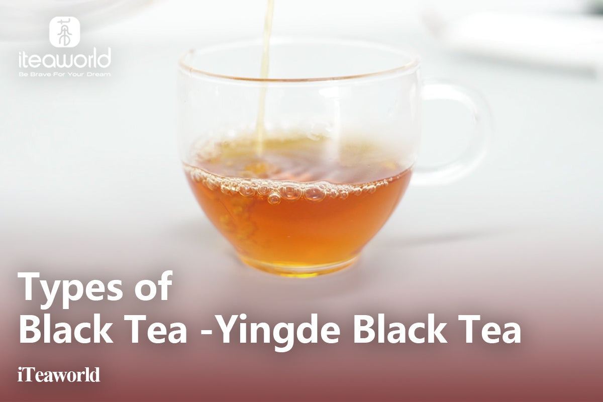 The Rich Flavors of Yingde Black Tea: A Detailed Guide