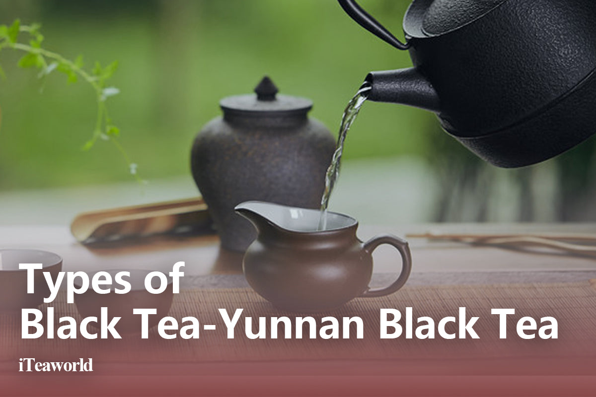 Yunnan Black Tea Guide: Everything You Wanted To Know