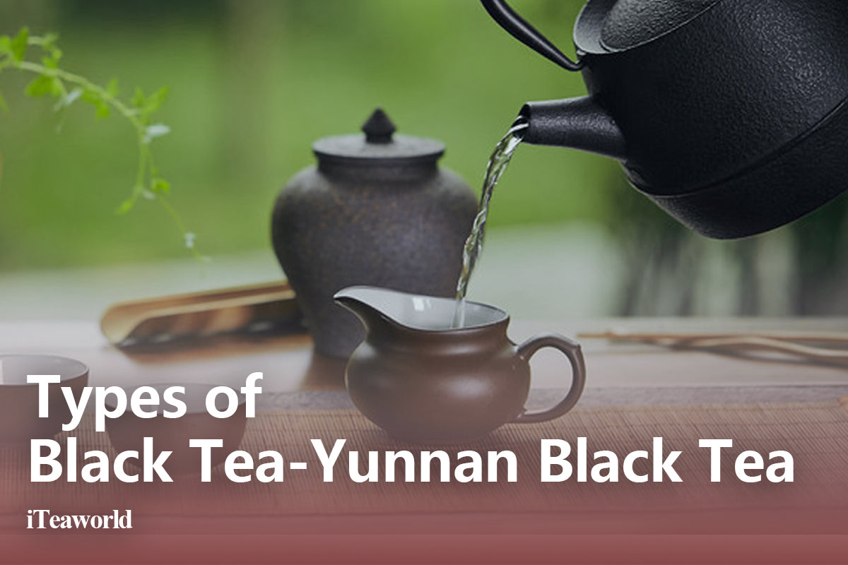 Yunnan Black Tea Guide Everything You Wanted To Know