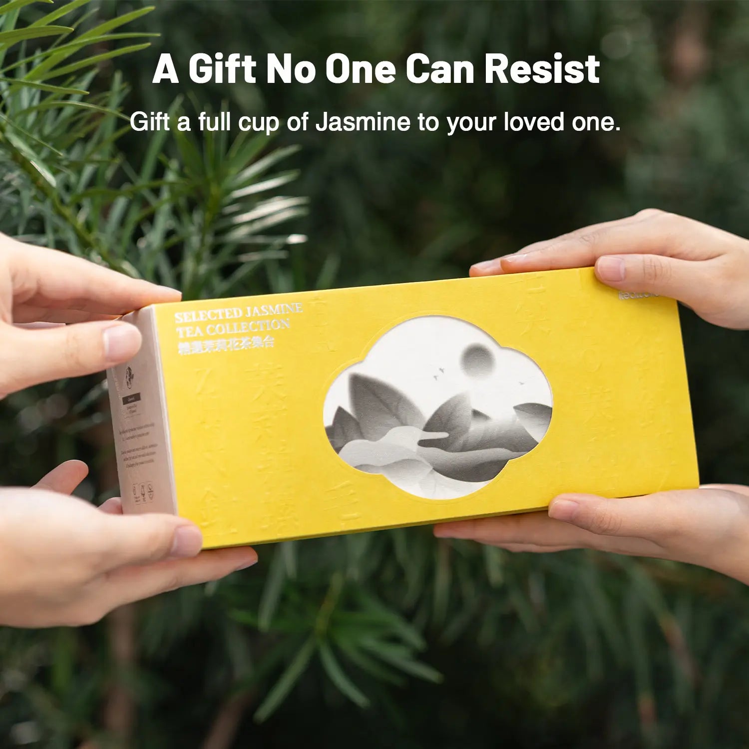 6 Best Tea Gift Sets for Black Friday 2025