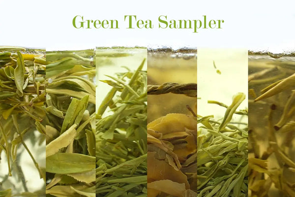Sip & Explore: Green Tea Sampler's Diverse Flavors