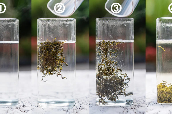 How to Brew Loose Leaf Green Tea: Water Temperature, Tea Amount & Step-by-Step Methods