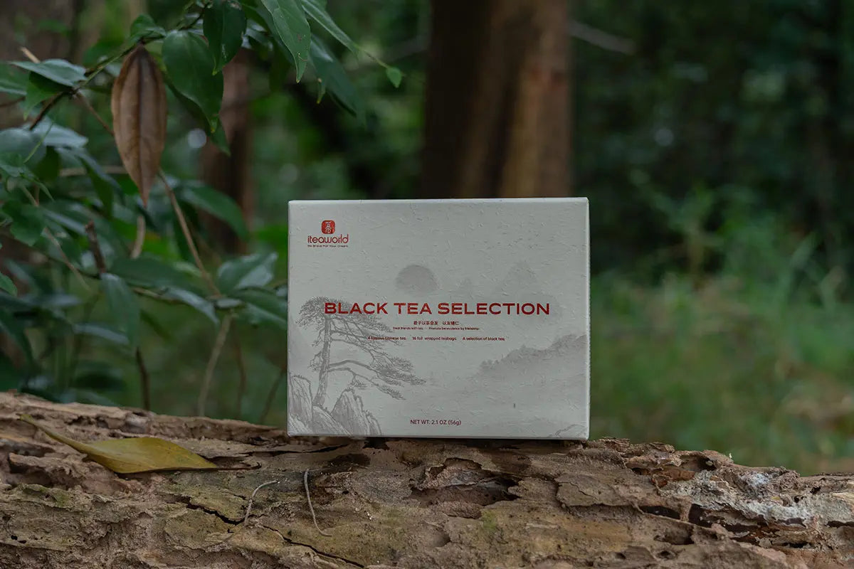 2024 Best Beginning to Chinese Black Tea