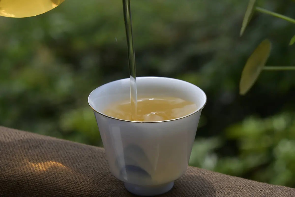 Brewing Tips and Tricks for Loose Tea Sampler Packs