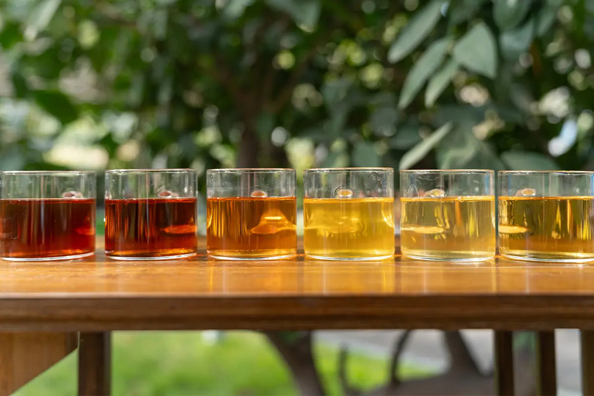 Classic Tea Samplers: A Beginner's Guide to Navigating Chinese Tea