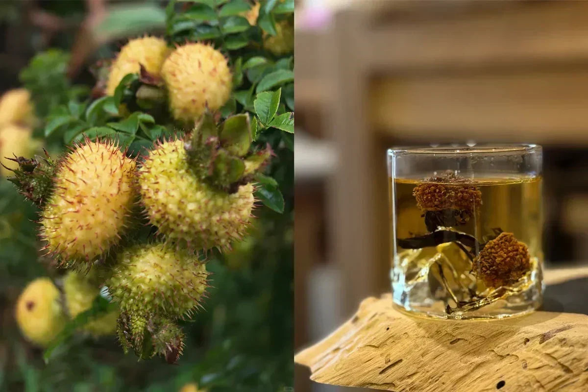 What Is Rosa Roxburghii Black Tea?