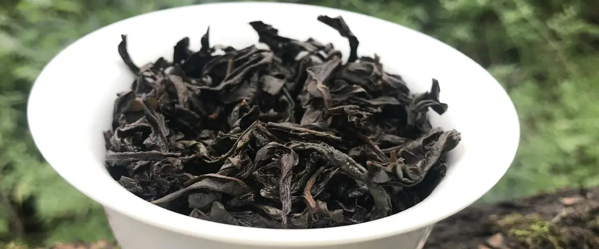 Da Hong Pao Tea Benefits: What Makes This Oolong a True Treasure