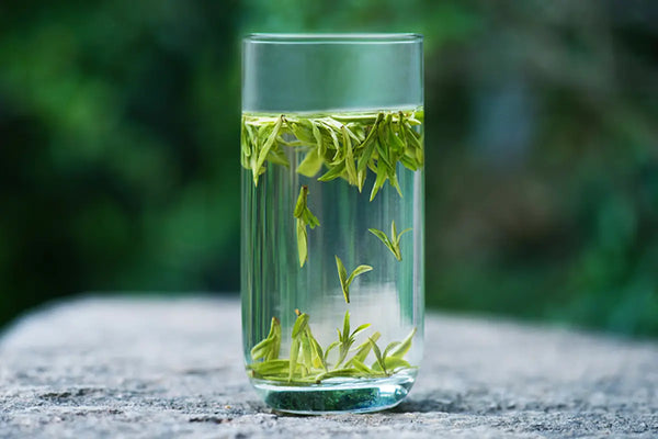 How to Brew Green Tea: Detailed Graphic Explanation